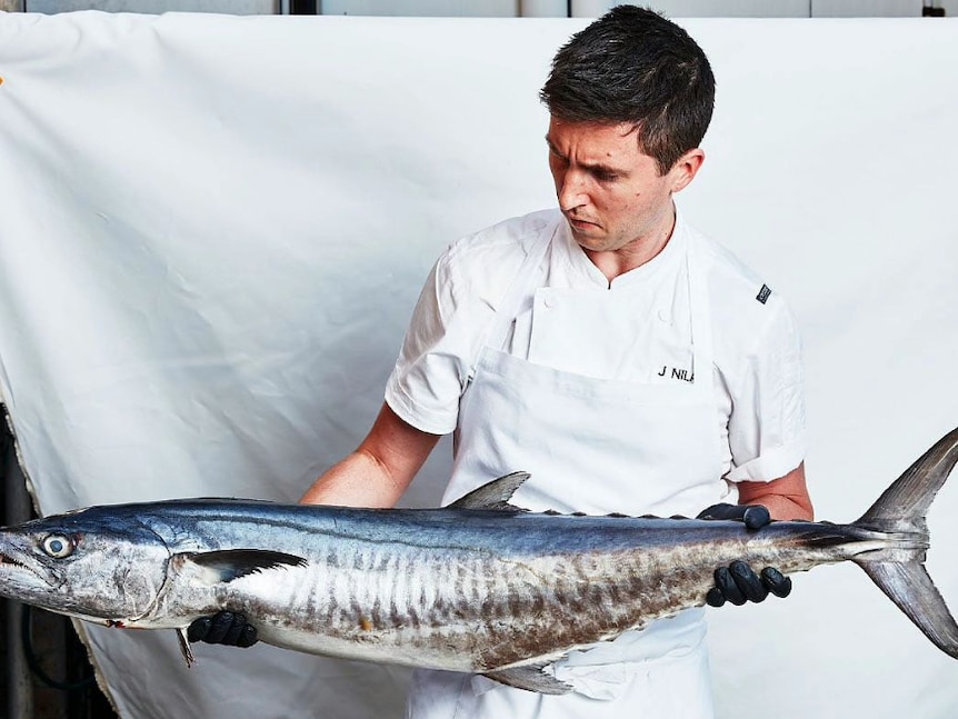 Man in man t-shirt, white apron and black rubber gloves holds large, silver fish