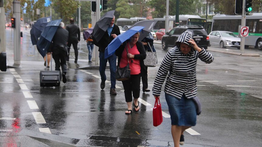 People holding umbrellas cross the road at a set of traffic lights in rainy conditions in Perth's CBD.