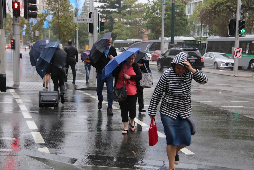 People holding umbrellas cross the road at a set of traffic lights in rainy conditions in Perth's CBD.