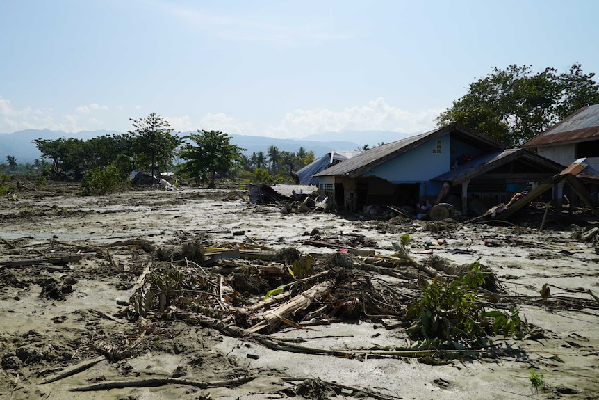 A field of mud and debris, with a few houses sunk up to their windows or roof-lines.