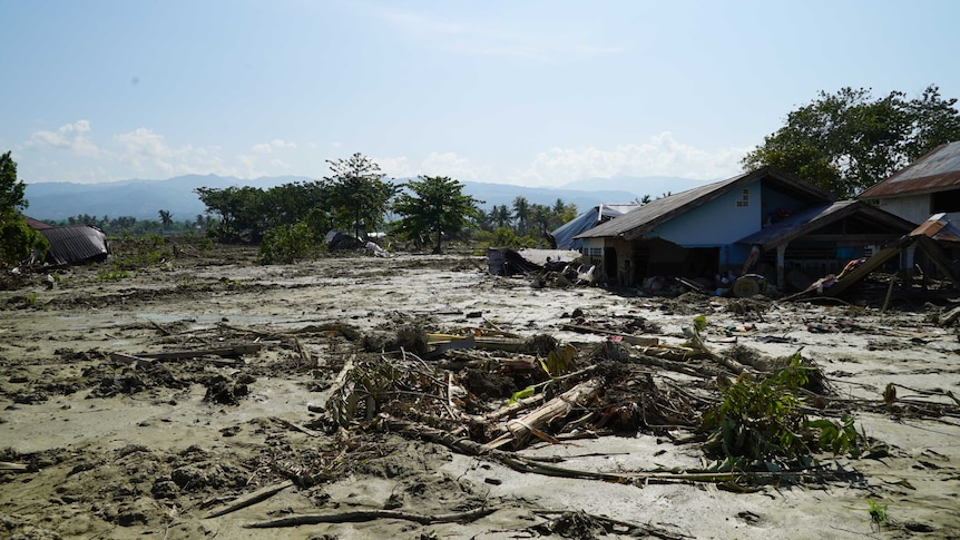 A field of mud and debris, with a few houses sunk up to their windows or roof-lines.