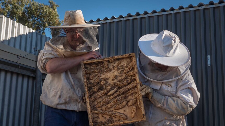 Beekeeper Sam and Haley