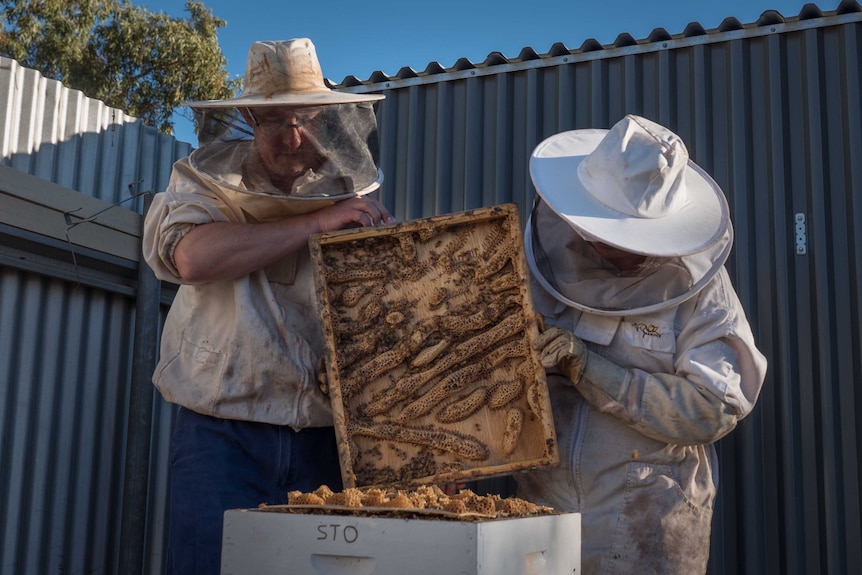 Beekeeper Sam and Haley