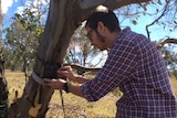 Bathurst Kangaroo Project head, Dr Daniel Ramp, checking one of the motion sensing cameras