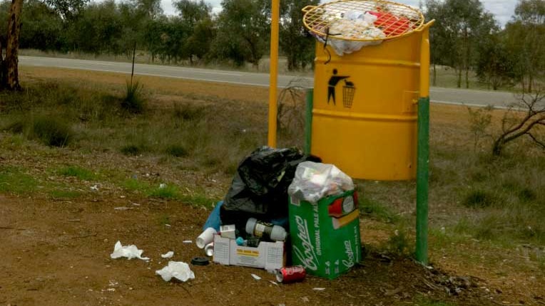 Over-flowing litter bin by a roadside.