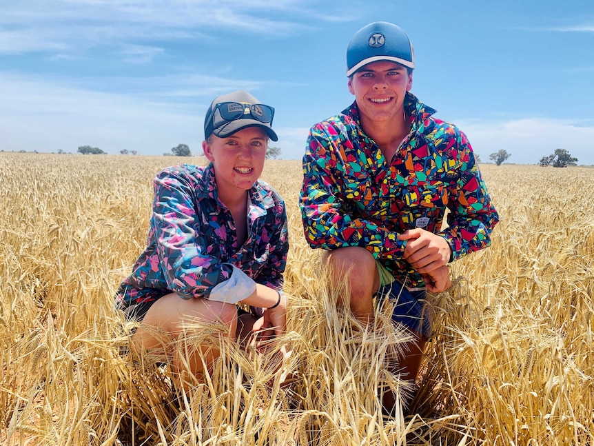 Teenage brother and sister kneeling in a barley crop, they are both smiling.