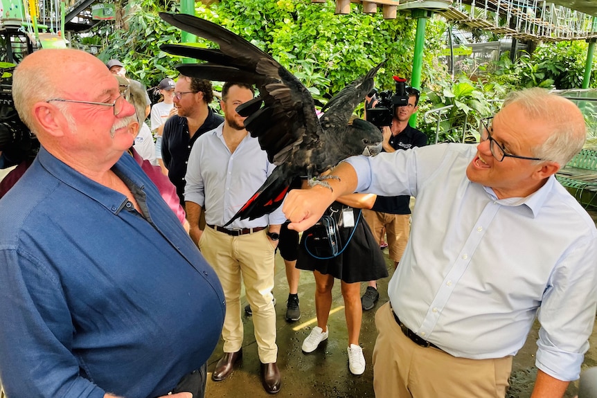 Scott Morrison holds a red-tailed black cockatoo during a press conference at a far north Queensland wildlife park.