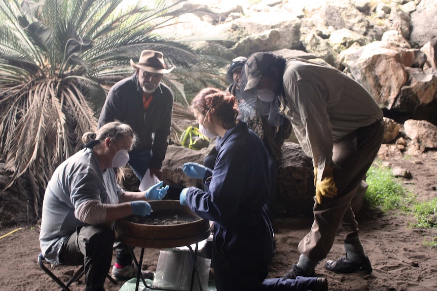Archaeologists circle around a tray in a cave looking at fragments of bone, rock and dirt.