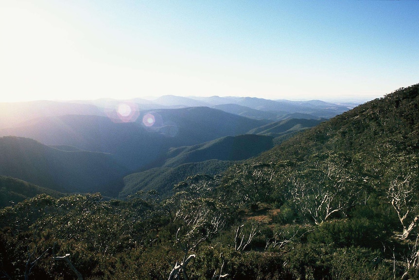 Namadgi National Park.