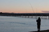 A person fishing in the sunrise over a beach.