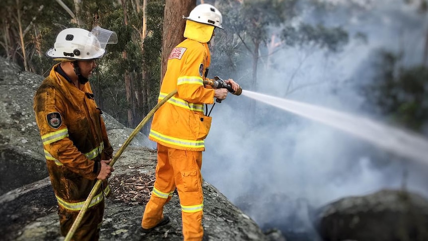 Two firefighters in yellow suits put out fire in the bush
