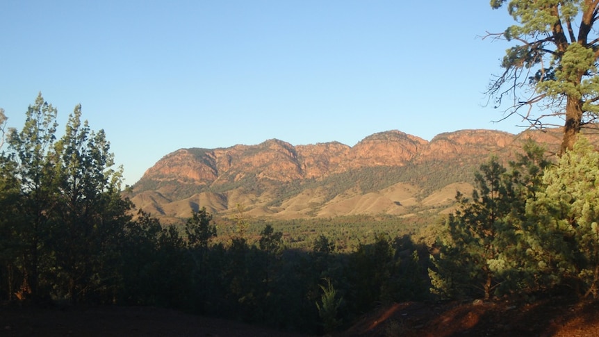 Morning in the Flinders Ranges