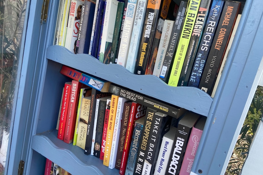 Books fill the shelves of a free library