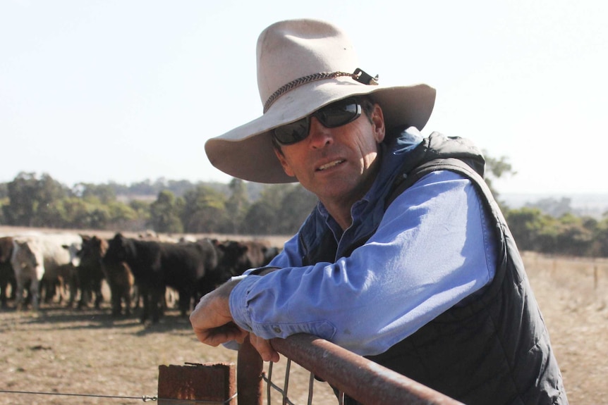 Man wearing a blue shirt, puffer vest, sunglasses and cream hat, in front of cattle yard, his crossed arms resting on metal gate