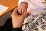 A toddler's hand holds the hand of an adult. In front of them are papers on a desk.