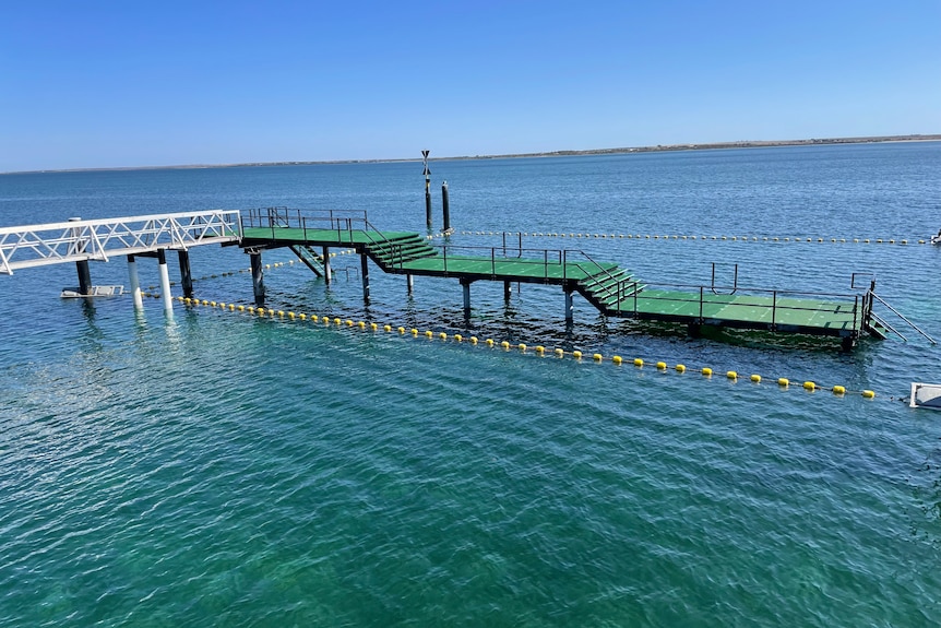 Aerial view of ceduna's ocean swimming pool with green platform connected to jetty