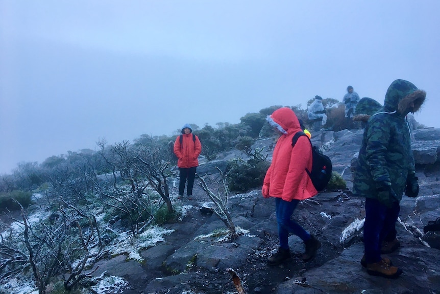 Hikers at the top of Bluff Knoll.