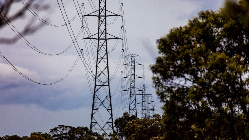 Electricity poles and wires stretching across a cloudy sky in an open, green field.