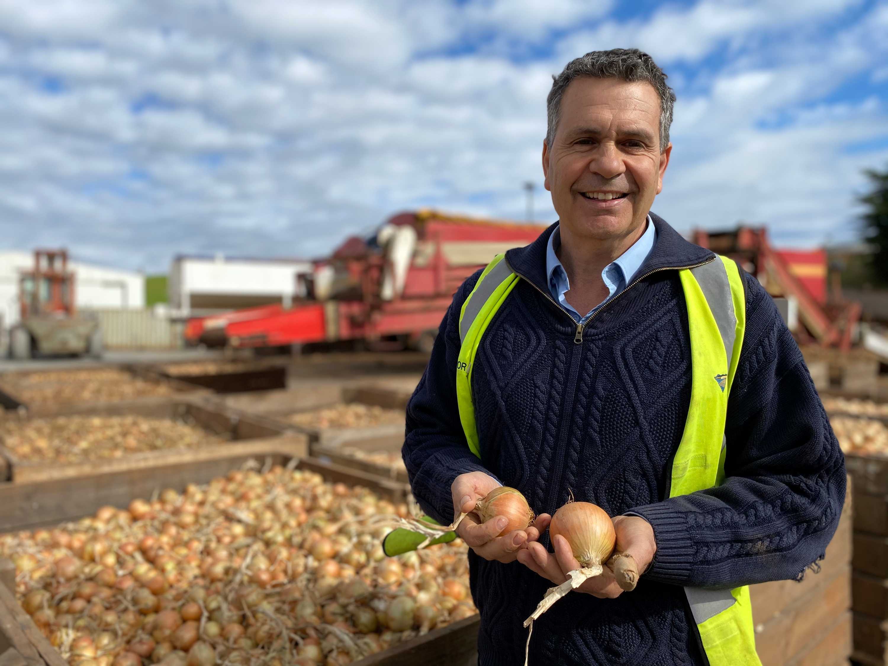 Onion growers bracing for price pain as domestic oversupply looms ABC
