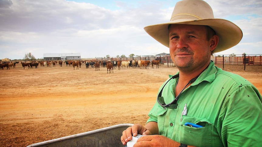 Grazier Hugh Button in a cattle pen on his property at Muttaburra in western Queensland on February 14, 2018