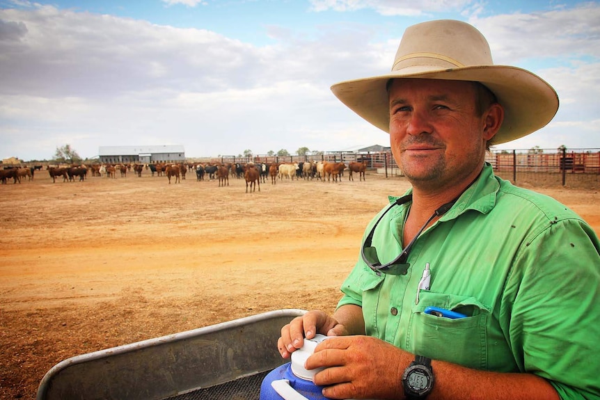 Grazier Hugh Button in a cattle pen on his property at Muttaburra in western Queensland on February 14, 2018