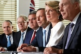 Coalition Real Solutions plan featuring senior members of frontbench