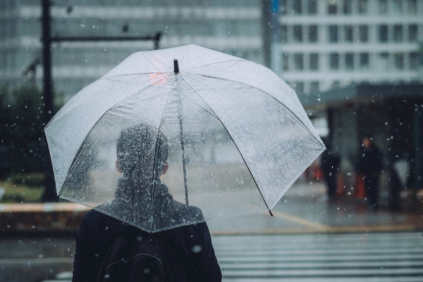 dos d'homme tenant un parapluie clair au croisement avec fond de bâtiments gris et pluie légère