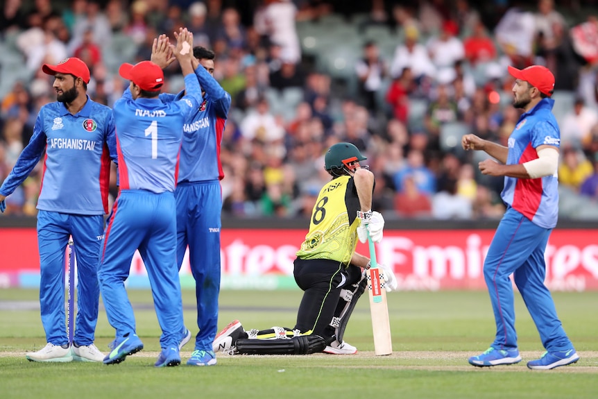 Mitch Marsh kneels as Afghanistan players gather behind him in celebration