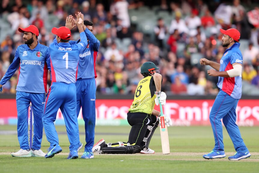 Mitch Marsh kneels as Afghanistan players gather behind him in celebration