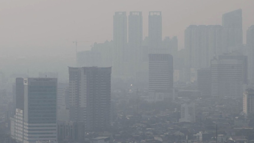 Air pollution covers the city of Jakarta