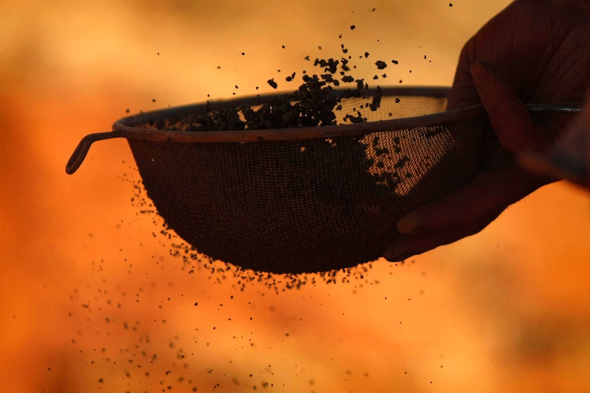 A close-up shot of a geologist's hand tossing an iron ore core sample in a sieve.