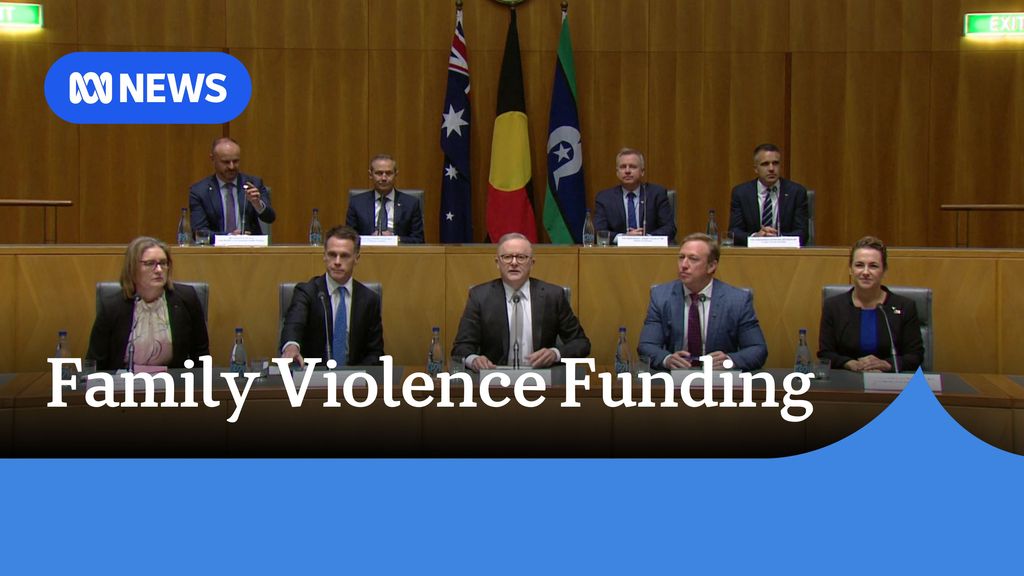 $4.7 billion plan to address family violence - ABC News