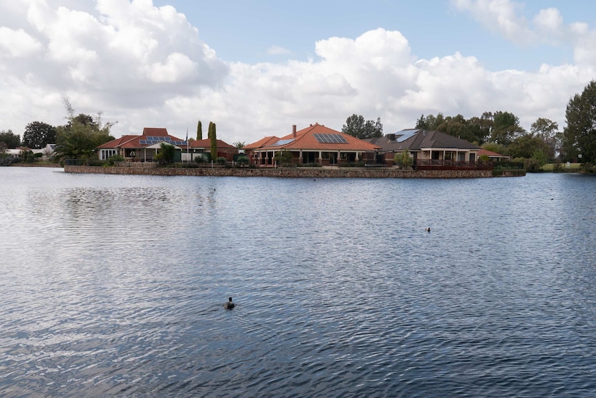 Houses with solar panels border man-made lake with ducks in pond.