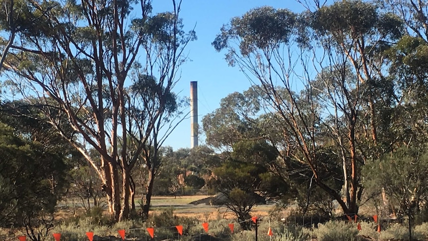 Image of a tall chimney poking out from behind trees and scrub, viewed from the edge of nearby Great Eastern Highway.