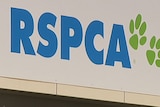 The RSPCA has played down allegations that greyhounds have been buried in large numbers on a property near Cessnock