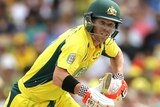 David Warner scurries for a single against India