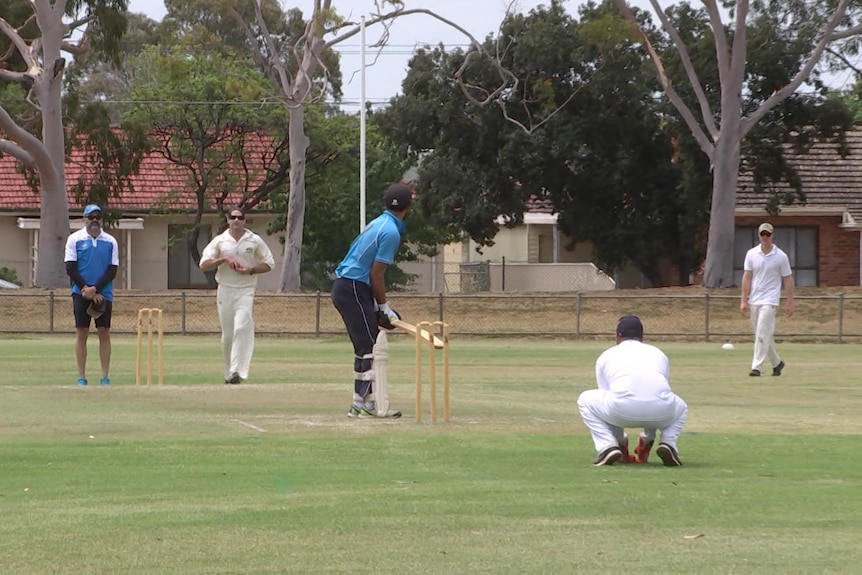 A game of cricket