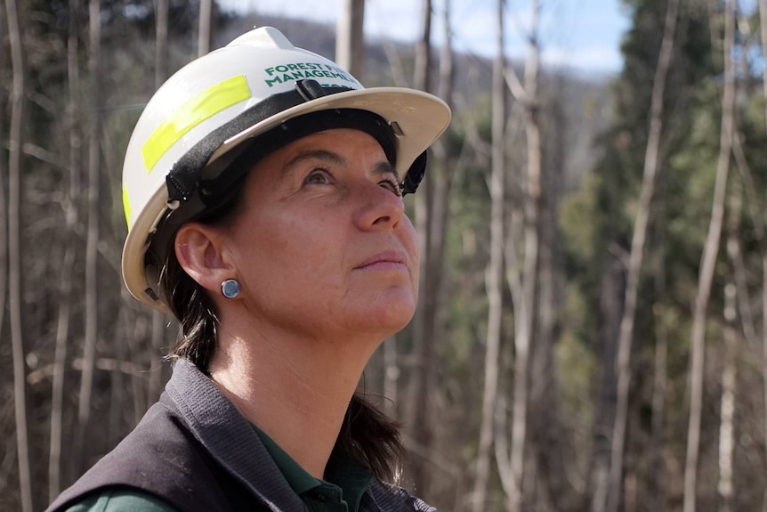 A woman looks up at dead trees.