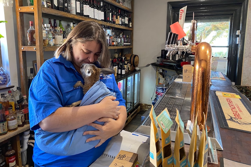 A woman wearing a blue shirt holds a kangaroo in her arms while standing behind a bar. 