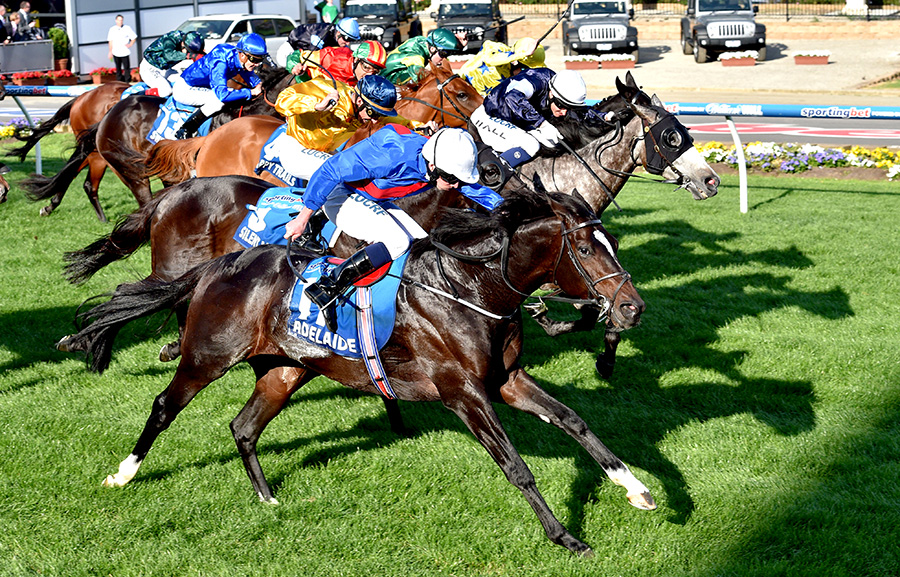 Adelaide wins Cox Plate