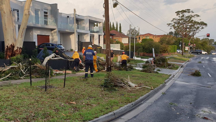 Rural Fire Service workers attend broken trees on a suburban street