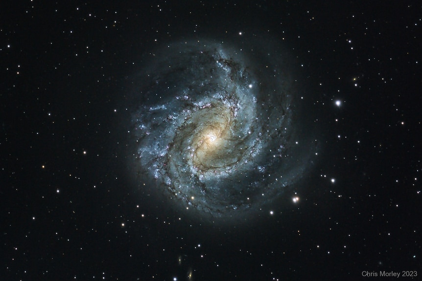 A starry galaxy called the Southern Pinwheel galaxy swirling around in the night sky, taken by Chris Morely