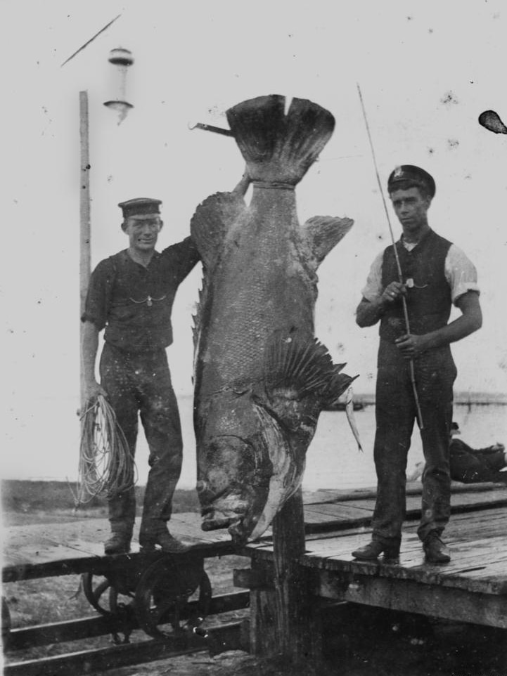 Two men standing next a fish that is larger than the men