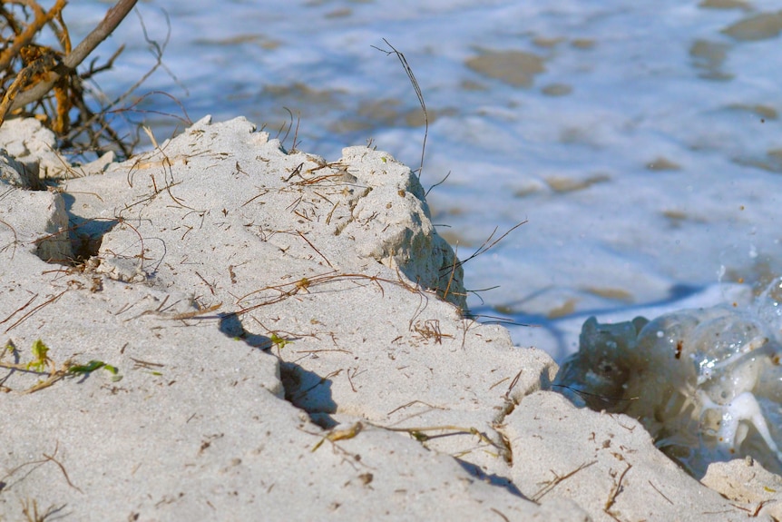 A photo of a sand dune crumbling off into the sea