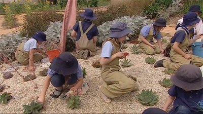 'The Patch' School Garden
