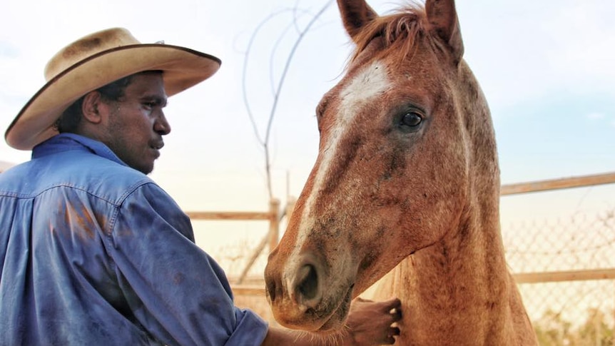 A man in a blue shirt and a bushman's hat with a horse.