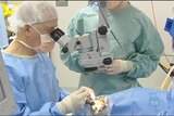 Cataract surgeons to reconsider quit threat
