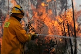 Victorian and New South Wales firefighters join forces in the Blue Mountains
