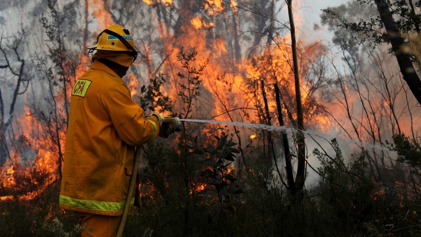 Victorian and New South Wales firefighters join forces in the Blue Mountains