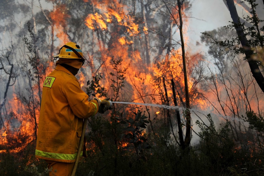 Victorian and New South Wales firefighters join forces in the Blue Mountains